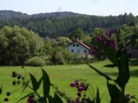 35 erpfenzell